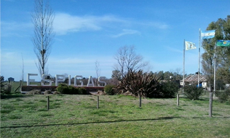 espigas-3
